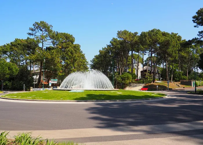 Avec Terrasse Et Parking - 4 Pers - - Fr-1-474-161 Apartament Arcachon